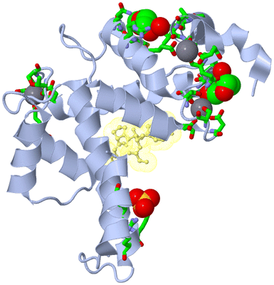 Image Asym./Biol. Unit - sites