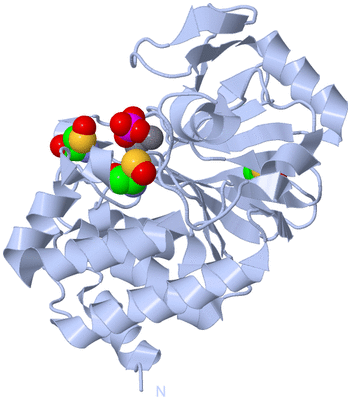 Image Biological Unit 1