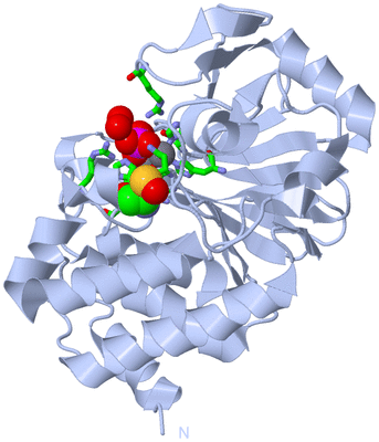 Image Biol. Unit 1 - sites