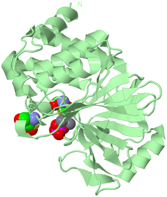 Image Biological Unit 2