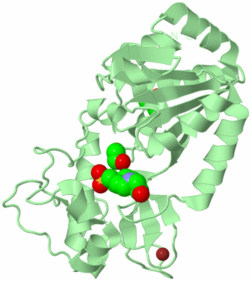 Image Biological Unit 2