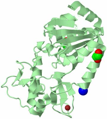 Image Biological Unit 2