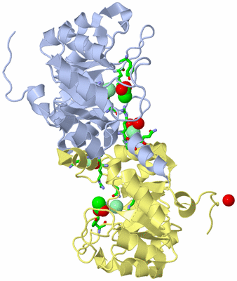 Image Biol. Unit 1 - sites