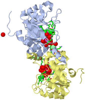 Image Biol. Unit 1 - sites