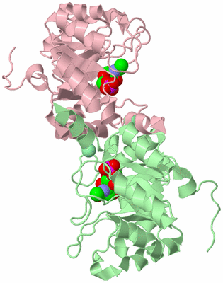 Image Biological Unit 3