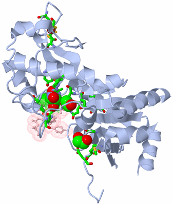 Image Biol. Unit 1 - sites