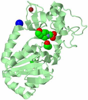 Image Biological Unit 2