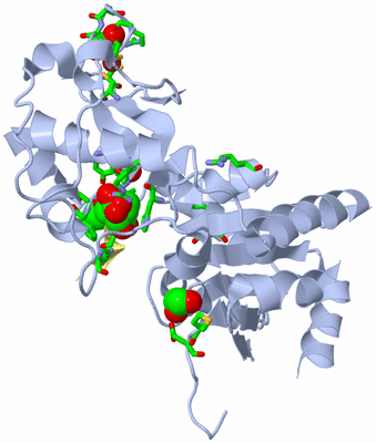 Image Biol. Unit 1 - sites