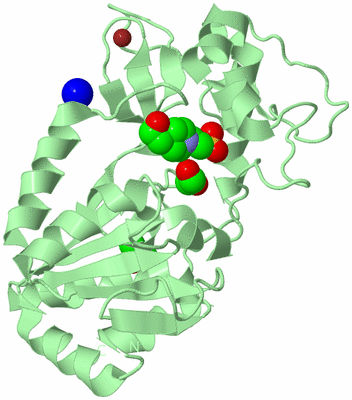 Image Biological Unit 2