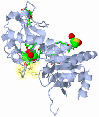 Image Biol. Unit 1 - sites