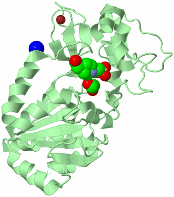 Image Biological Unit 2