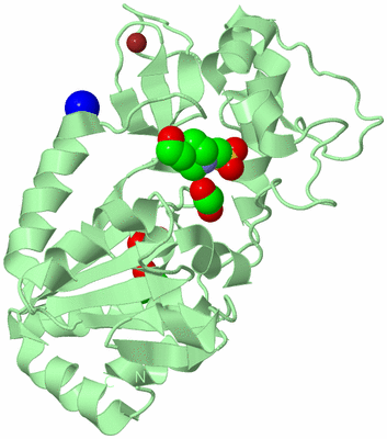 Image Biological Unit 1