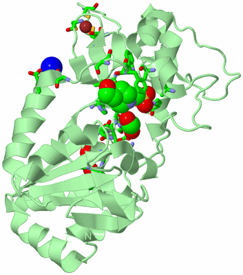 Image Biol. Unit 1 - sites