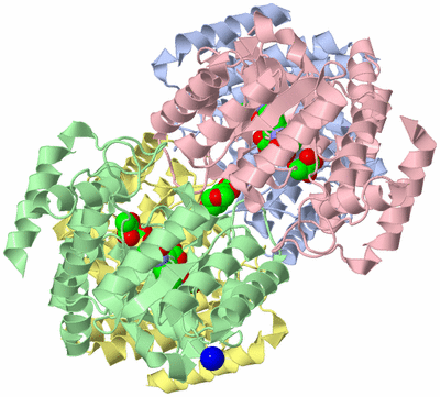 Image Asym./Biol. Unit