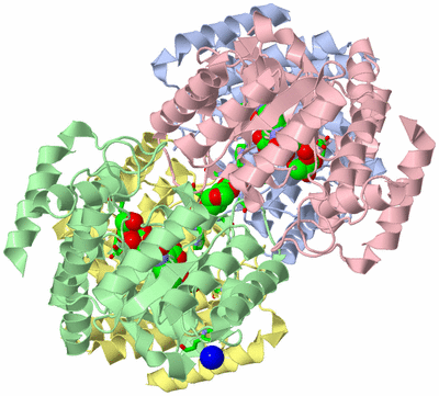 Image Asym./Biol. Unit - sites