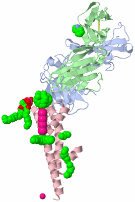 Image Asymmetric Unit