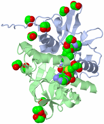 Image Asym./Biol. Unit