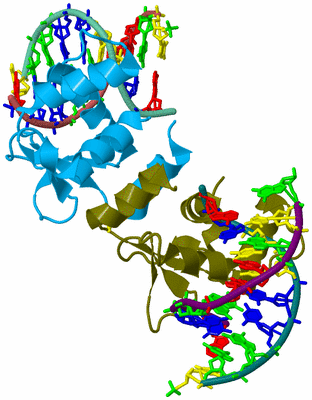 Image Biological Unit 1