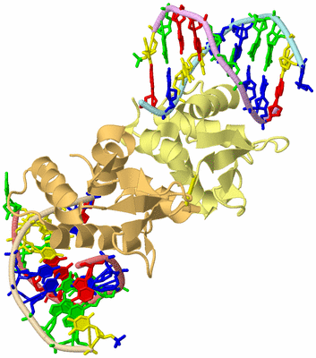 Image Biological Unit 2