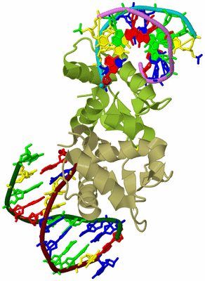 Image Biological Unit 3