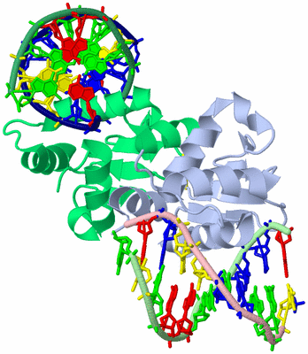 Image Biological Unit 4