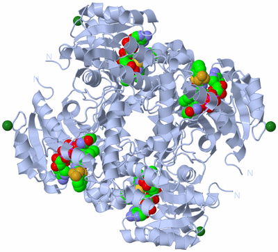 Image Biological Unit 1