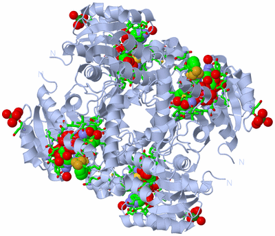 Image Biol. Unit 1 - sites