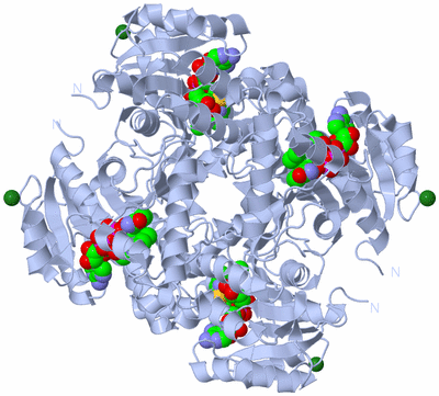 Image Biological Unit 1