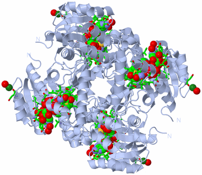 Image Biol. Unit 1 - sites