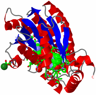 Image Asym. Unit - sites