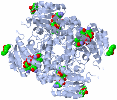 Image Biological Unit 1