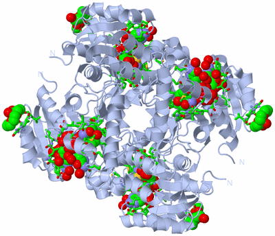 Image Biol. Unit 1 - sites