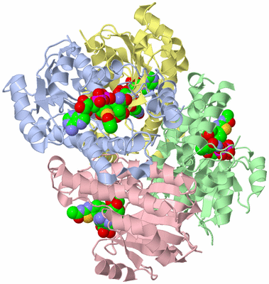 Image Asym./Biol. Unit