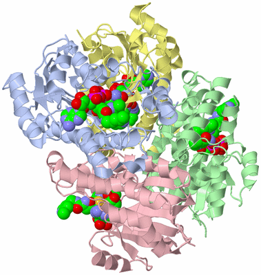 Image Asym./Biol. Unit