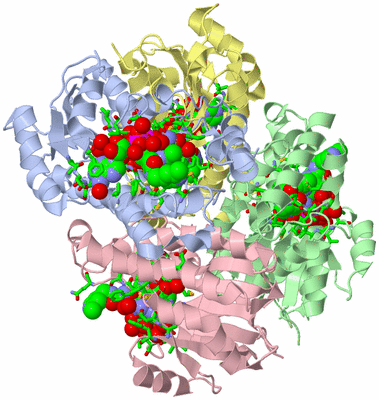 Image Asym./Biol. Unit - sites