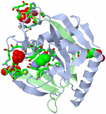 Image Biol. Unit 1 - sites