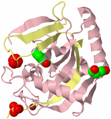 Image Biological Unit 2