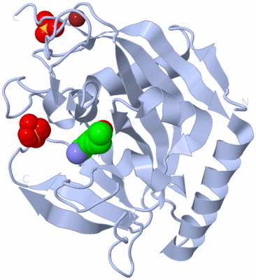 Image Biological Unit 1