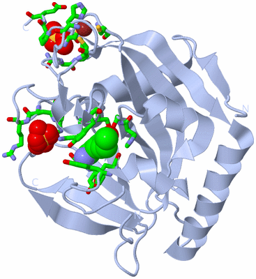 Image Biol. Unit 1 - sites