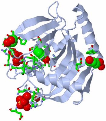 Image Biol. Unit 1 - sites