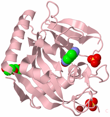 Image Biological Unit 2