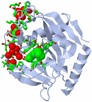 Image Biol. Unit 1 - sites