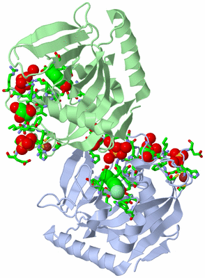 Image Asym. Unit - sites