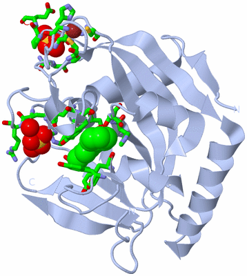 Image Biol. Unit 1 - sites