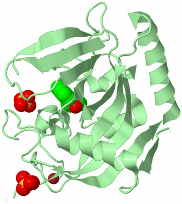 Image Biological Unit 2