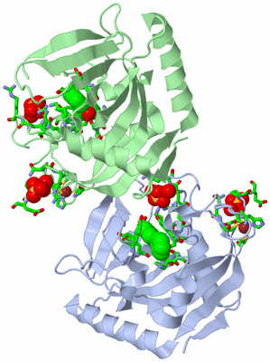 Image Asym. Unit - sites