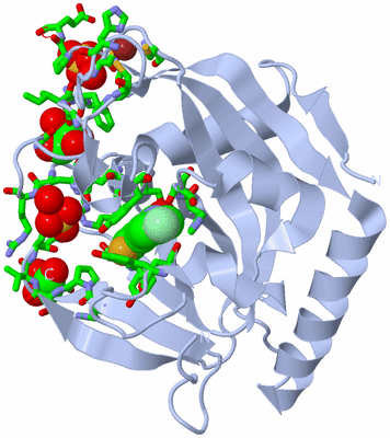 Image Biol. Unit 1 - sites