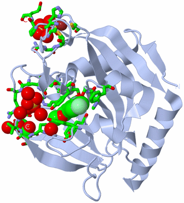 Image Biol. Unit 1 - sites