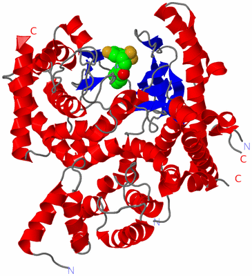 Image Asym./Biol. Unit