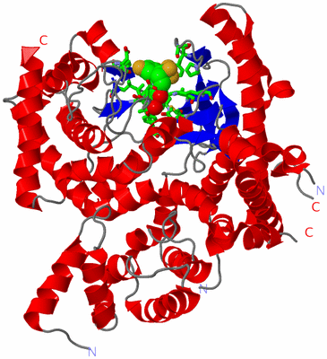 Image Asym./Biol. Unit - sites